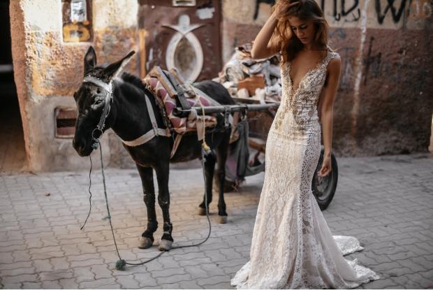 Amani by Pronovias — Bridal Rogue Gallery