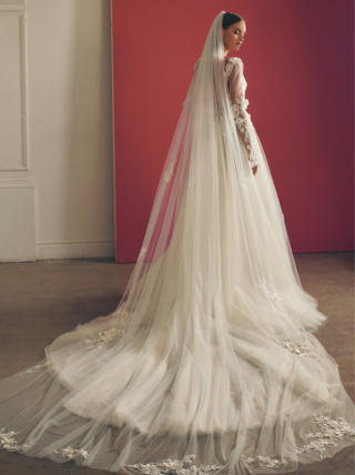 Max Veil